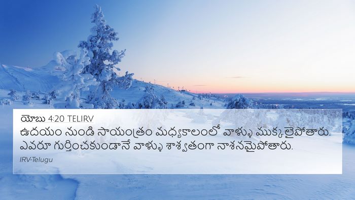 యోబు 4:20 TELIRV Bible Verse Image