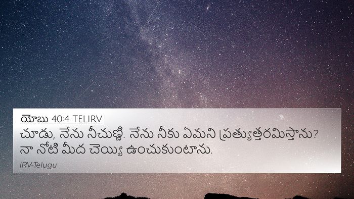 యోబు 40:4 TELIRV Bible Verse Image