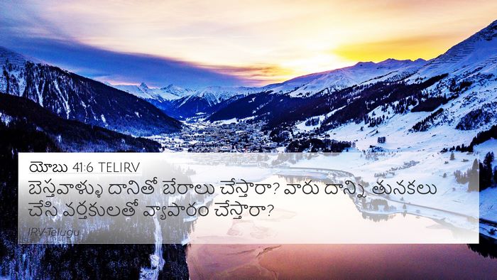 యోబు 41:6 TELIRV 4K Wallpaper - బెస్తవాళ్ళు - 4K Wallpaper Bible Verse