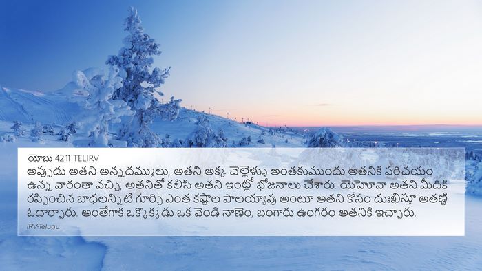 యోబు 42:11 TELIRV Bible Verse Image