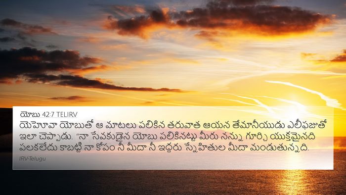 యోబు 42:7 TELIRV Bible Verse Image