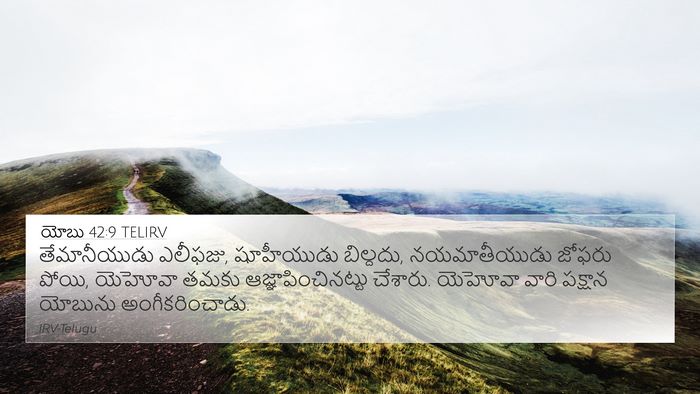 యోబు 42:9 TELIRV 4K Wallpaper - తేమానీయుడు - 4K Wallpaper Bible Verse