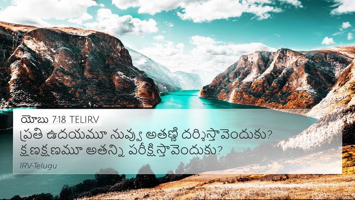 యోబు 7:18 TELIRV Bible Verse Image