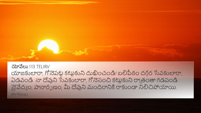 యోవేలు 1:13 TELIRV Bible Verse Image