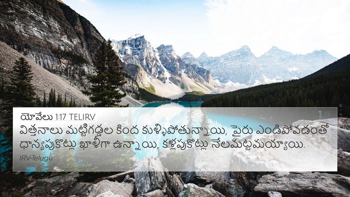 యోవేలు 1:17 TELIRV Bible Verse Image