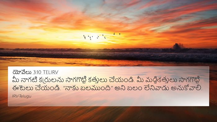 యోవేలు 3:10 TELIRV Bible Verse Image