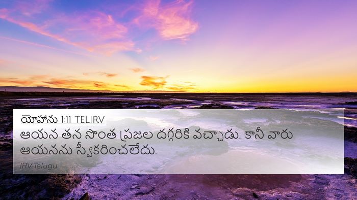 యోహాను 1:11 TELIRV Bible Verse Image