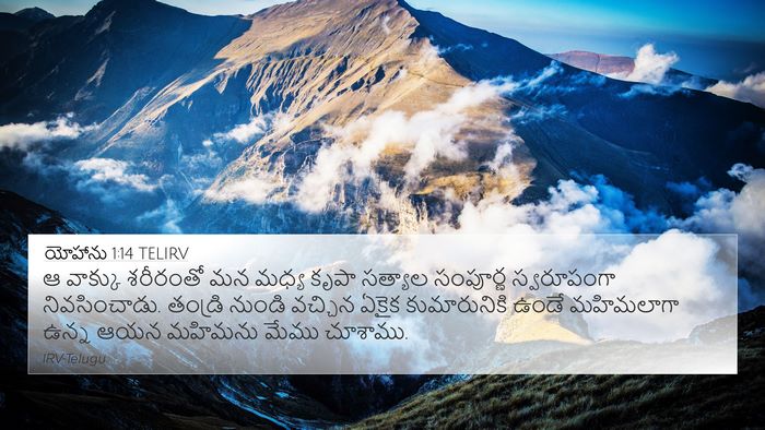 యోహాను 1:14 TELIRV Bible Verse Image