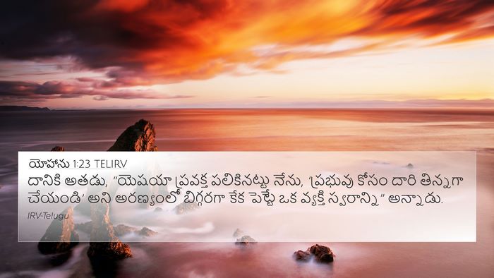 యోహాను 1:23 TELIRV Bible Verse Image