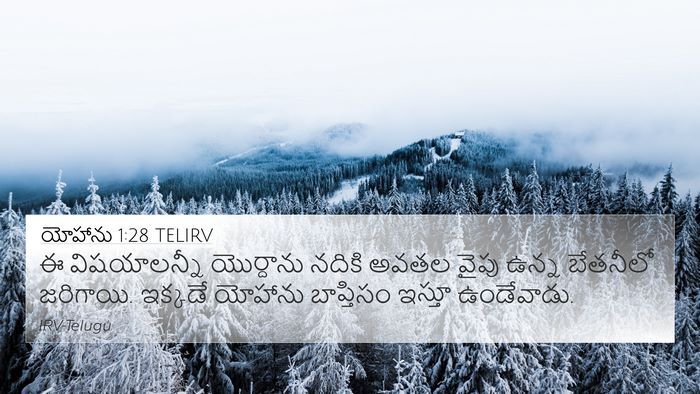 యోహాను 1:28 TELIRV Bible Verse Image
