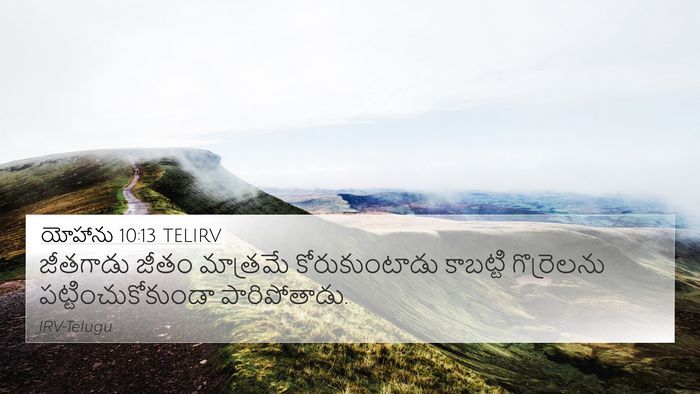 యోహాను 10:13 TELIRV 4K Wallpaper - జీతగాడు జీతం - 4K Wallpaper Bible Verse