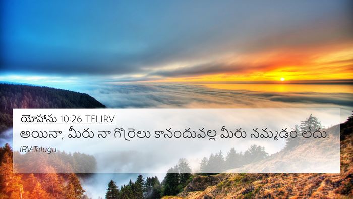 యోహాను 10:26 TELIRV Bible Verse Image