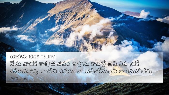 యోహాను 10:28 TELIRV Bible Verse Image