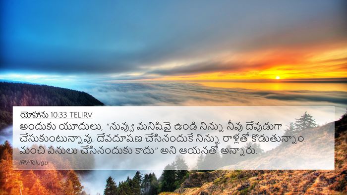 యోహాను 10:33 TELIRV Bible Verse Image