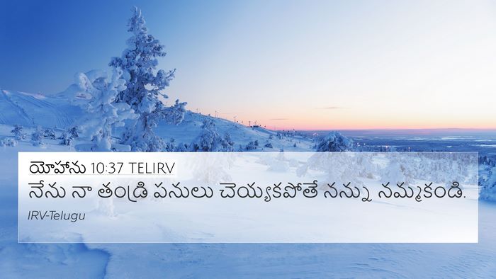 యోహాను 10:37 TELIRV Bible Verse Image