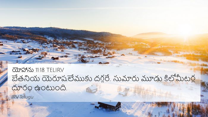 యోహాను 11:18 TELIRV Bible Verse Image