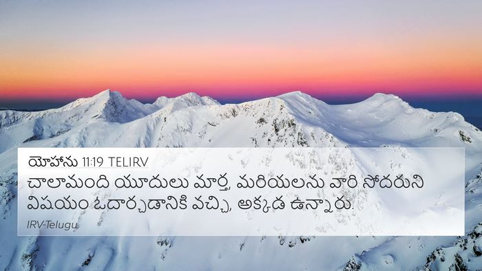 యోహాను 11:19 TELIRV Bible Verse Image