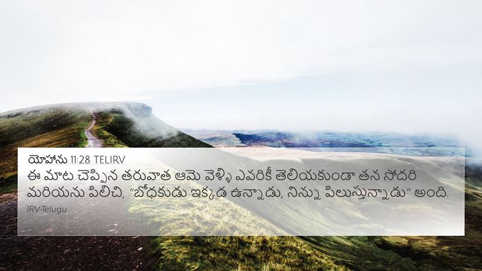 యోహాను 11:28 TELIRV Bible Verse Image