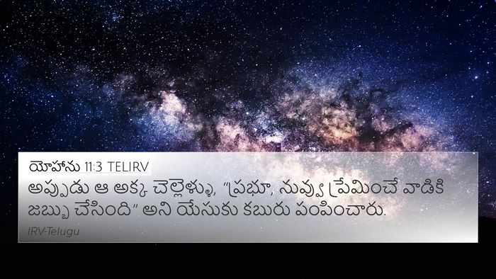 యోహాను 11:3 TELIRV Bible Verse Image