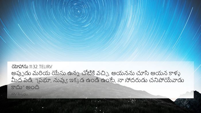 యోహాను 11:32 TELIRV Bible Verse Image