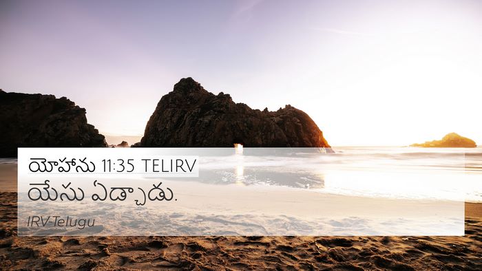 యోహాను 11:35 TELIRV Bible Verse Image