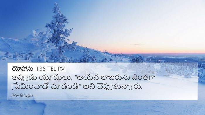 యోహాను 11:36 TELIRV Bible Verse Image