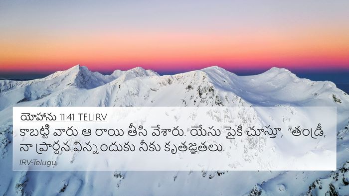 యోహాను 11:41 TELIRV Bible Verse Image