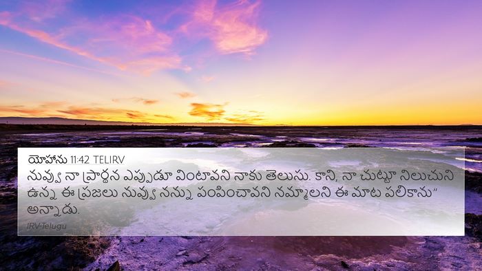 యోహాను 11:42 TELIRV Bible Verse Image