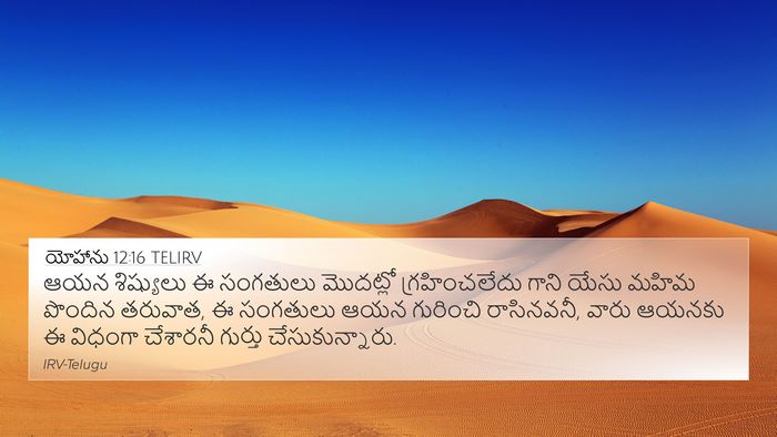 యోహాను 12:16 TELIRV Bible Verse Image