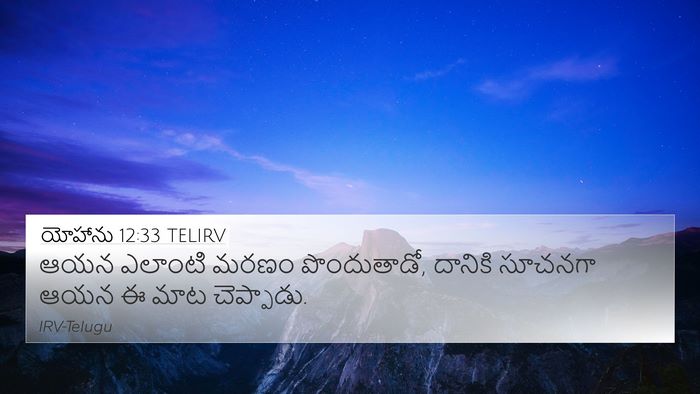 యోహాను 12:33 TELIRV Bible Verse Image