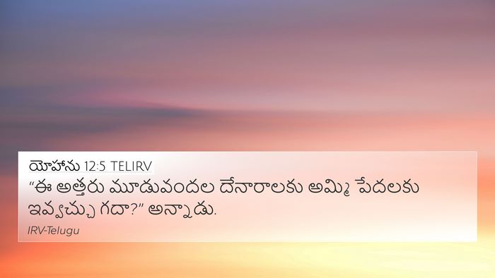 యోహాను 12:5 TELIRV Bible Verse Image