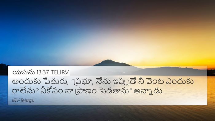 యోహాను 13:37 TELIRV Bible Verse Image