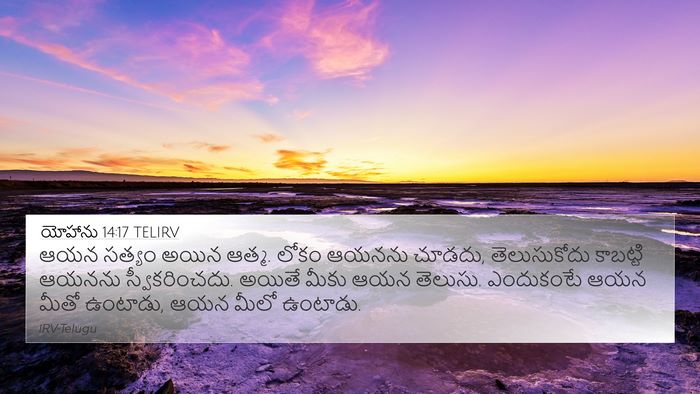 యోహాను 14:17 TELIRV Bible Verse Image