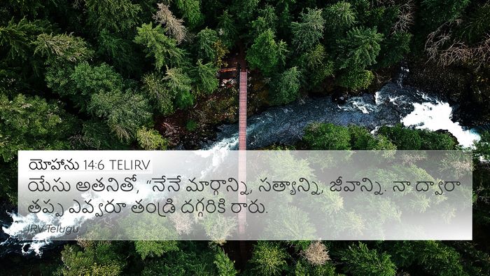 యోహాను 14:6 TELIRV Bible Verse Image