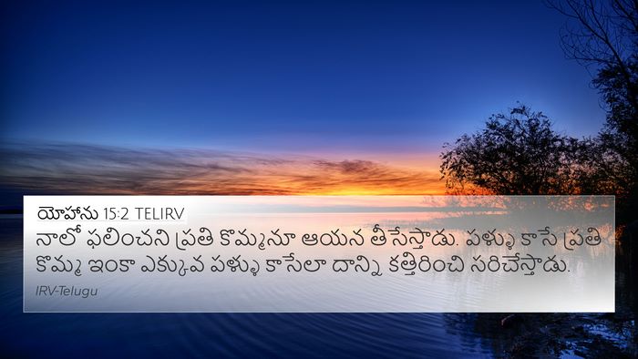 యోహాను 15:2 TELIRV Bible Verse Image