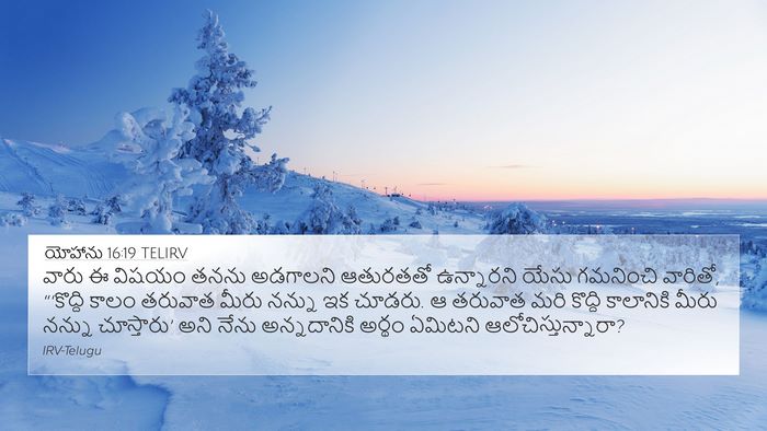 యోహాను 16:19 TELIRV Bible Verse Image