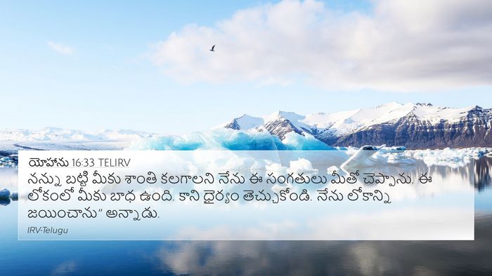 యోహాను 16:33 TELIRV Bible Verse Image
