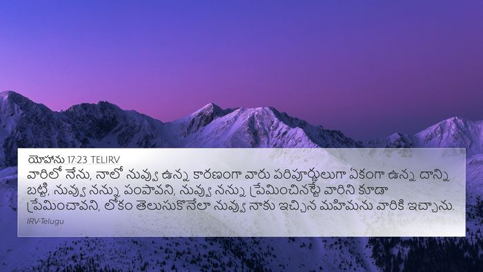 యోహాను 17:23 TELIRV Bible Verse Image