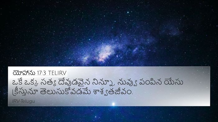 యోహాను 17:3 TELIRV Bible Verse Image