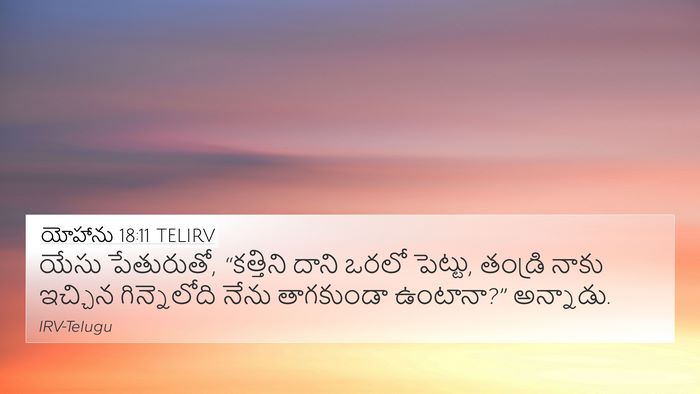 యోహాను 18:11 TELIRV Bible Verse Image