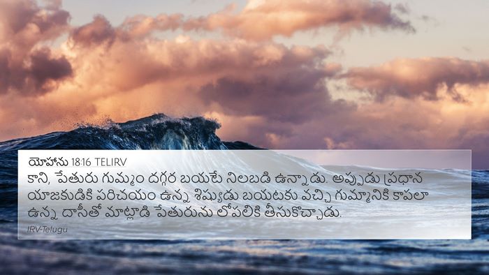 యోహాను 18:16 TELIRV Bible Verse Image