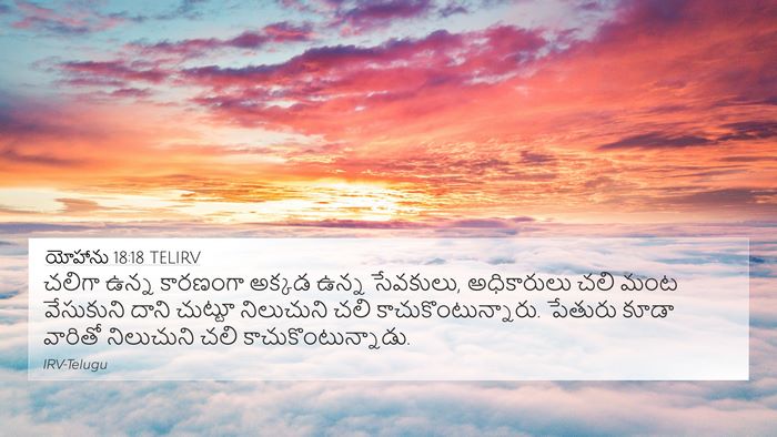 యోహాను 18:18 TELIRV Bible Verse Image