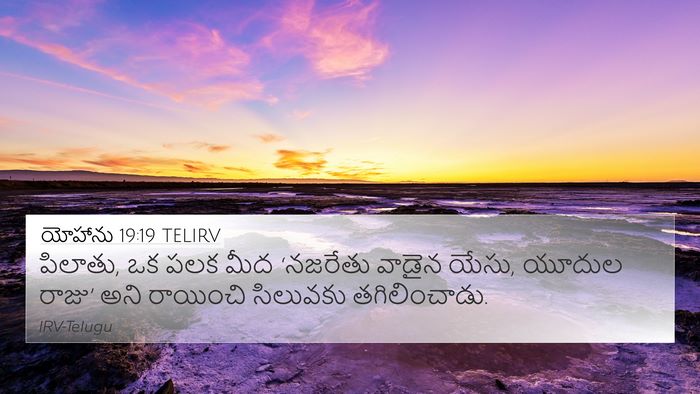 యోహాను 19:19 TELIRV Bible Verse Image