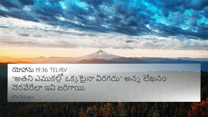 యోహాను 19:36 TELIRV Bible Verse Image