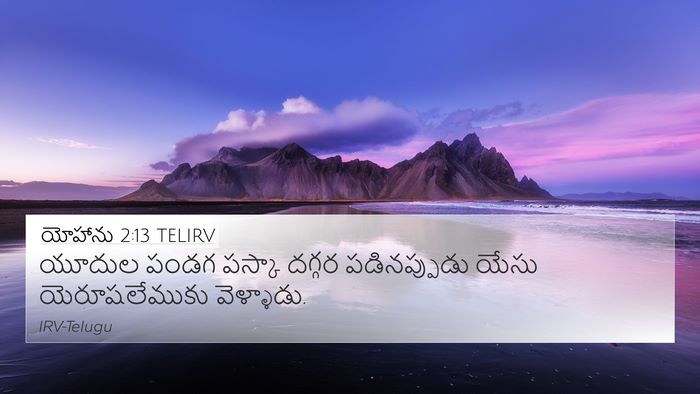 యోహాను 2:13 TELIRV Bible Verse Image