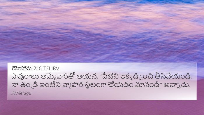 యోహాను 2:16 TELIRV 4K Wallpaper - పావురాలు - 4K Wallpaper Bible Verse