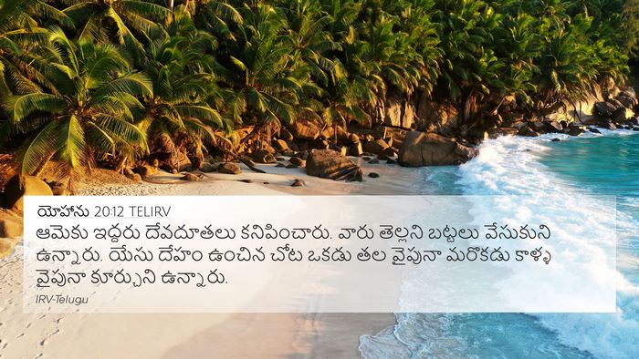 యోహాను 20:12 TELIRV Bible Verse Image