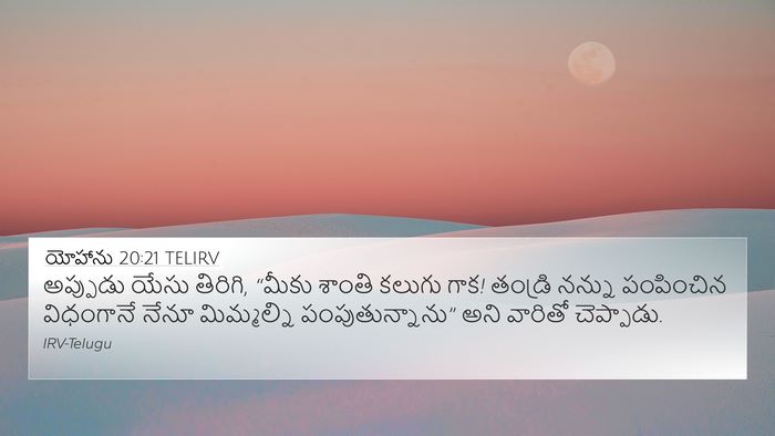 యోహాను 20:21 TELIRV Bible Verse Image