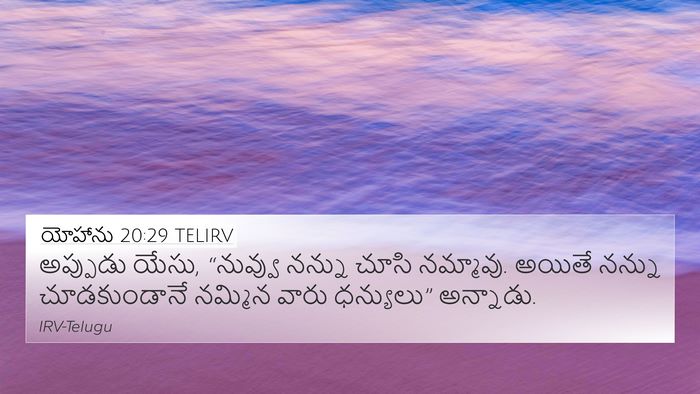 యోహాను 20:29 TELIRV Bible Verse Image