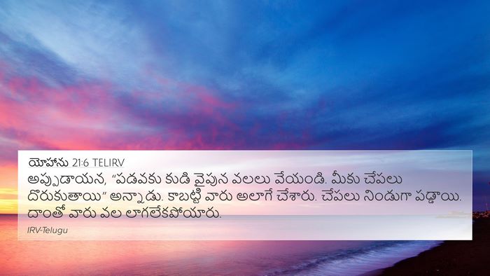 యోహాను 21:6 TELIRV Bible Verse Image